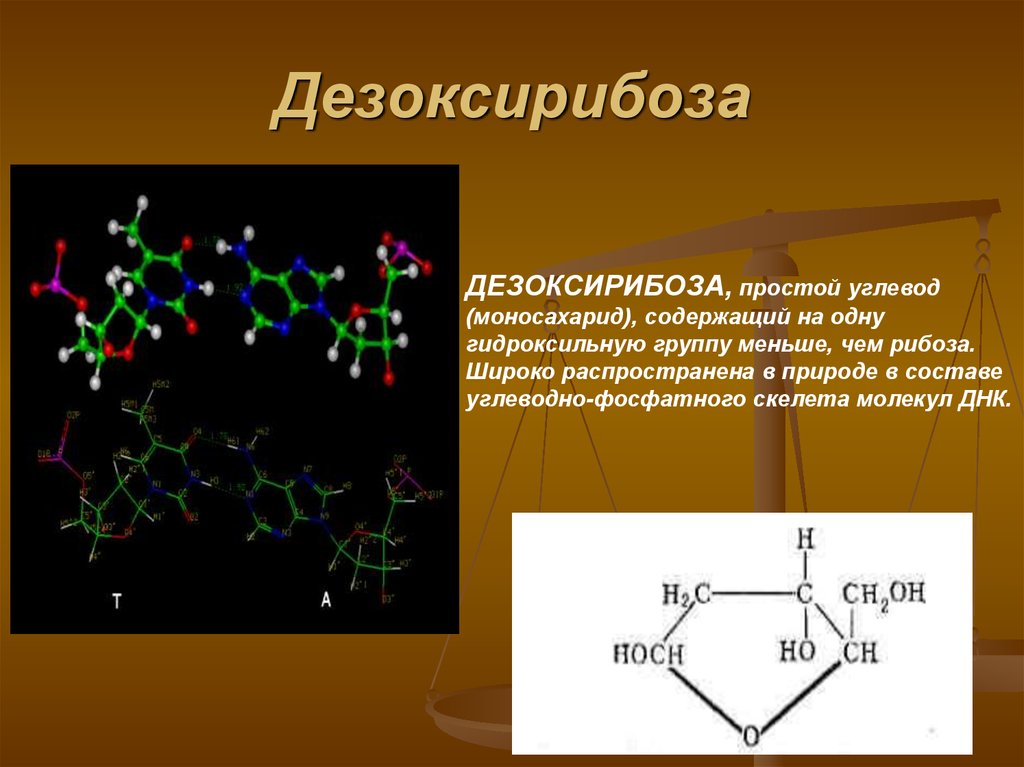 Рибоза класс соединений. Дезоксирибоза формула химическая. Дезоксирибоза биологическая роль. Дезоксирибоза класс вещества. Рибоза класс органических соединений.