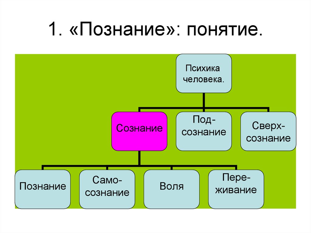 Познание понимание