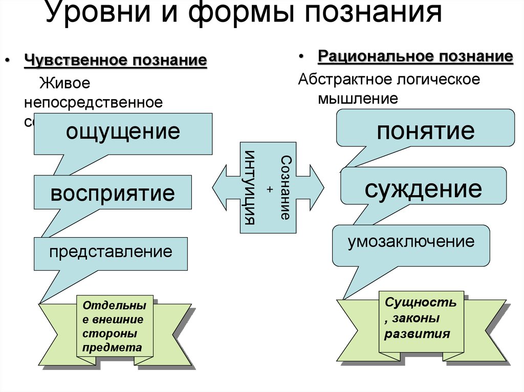 Виды познания схема в философии