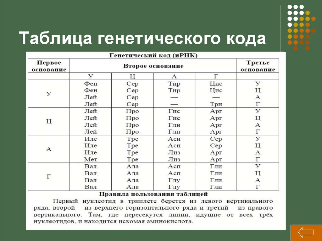 Презентация по биологии 10 класс генетический код