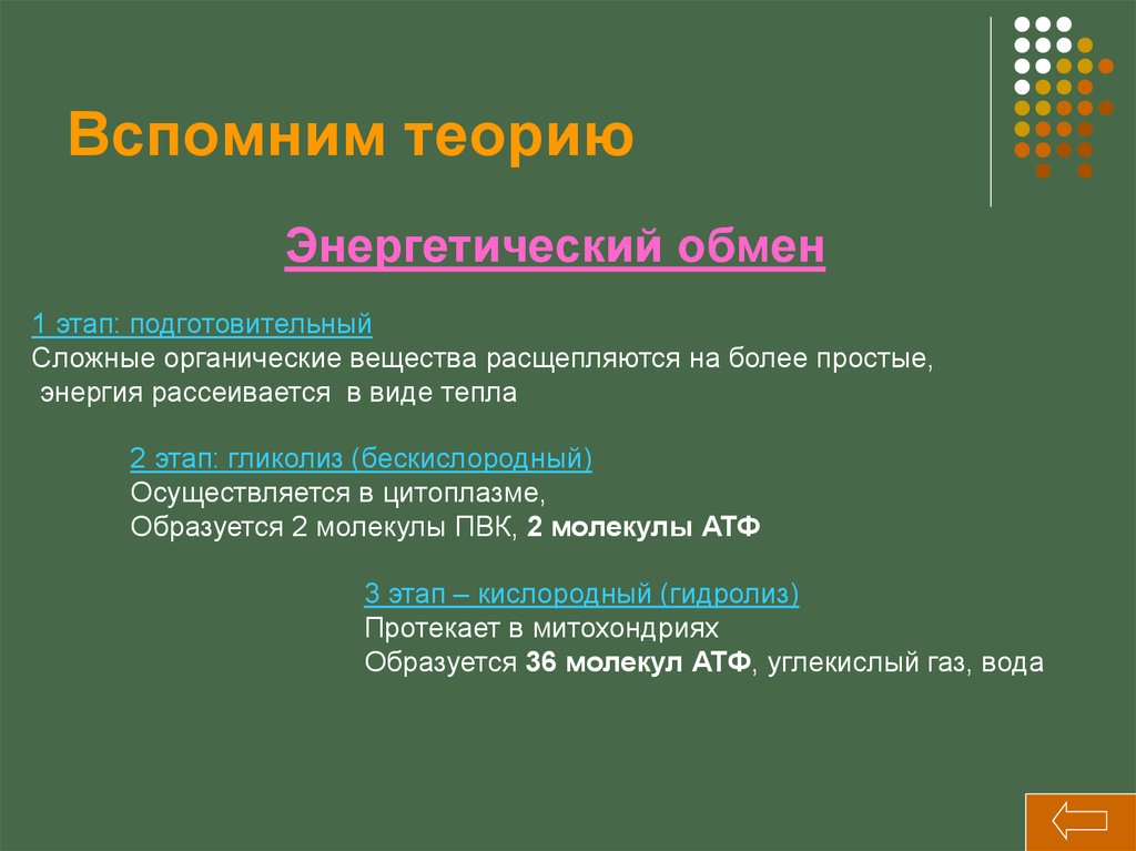 Как расщепляются сложные вещества. Подготовительный этап энергетического обмена. Задачи на энергообмен по биологии. Задачи на энергетический обмен с решением по биологии. Подготовительный этап рассеивается в виде тепла.