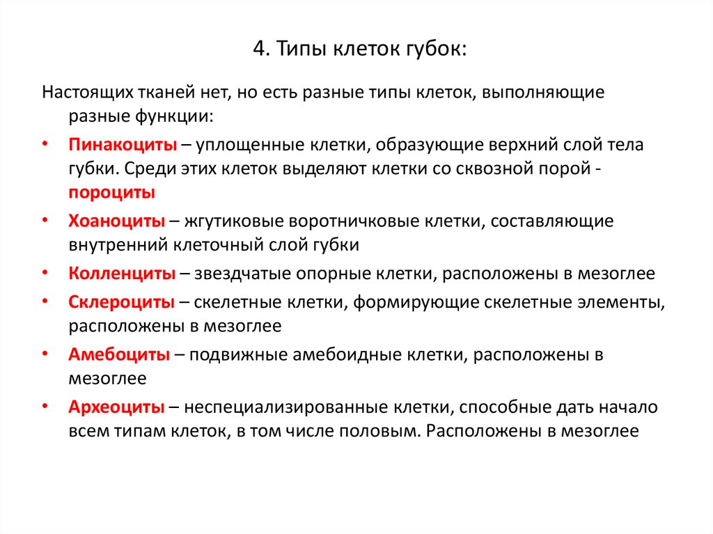 Функции клеточных элементов. Клетки губок и их функции. Типы клеток губок и их функции. Клетки губок и их функции таблица. Клеточные элементы губок и их функции.