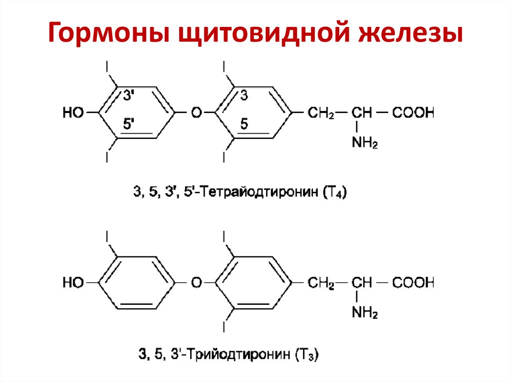 Синтез йодтиронинов схема