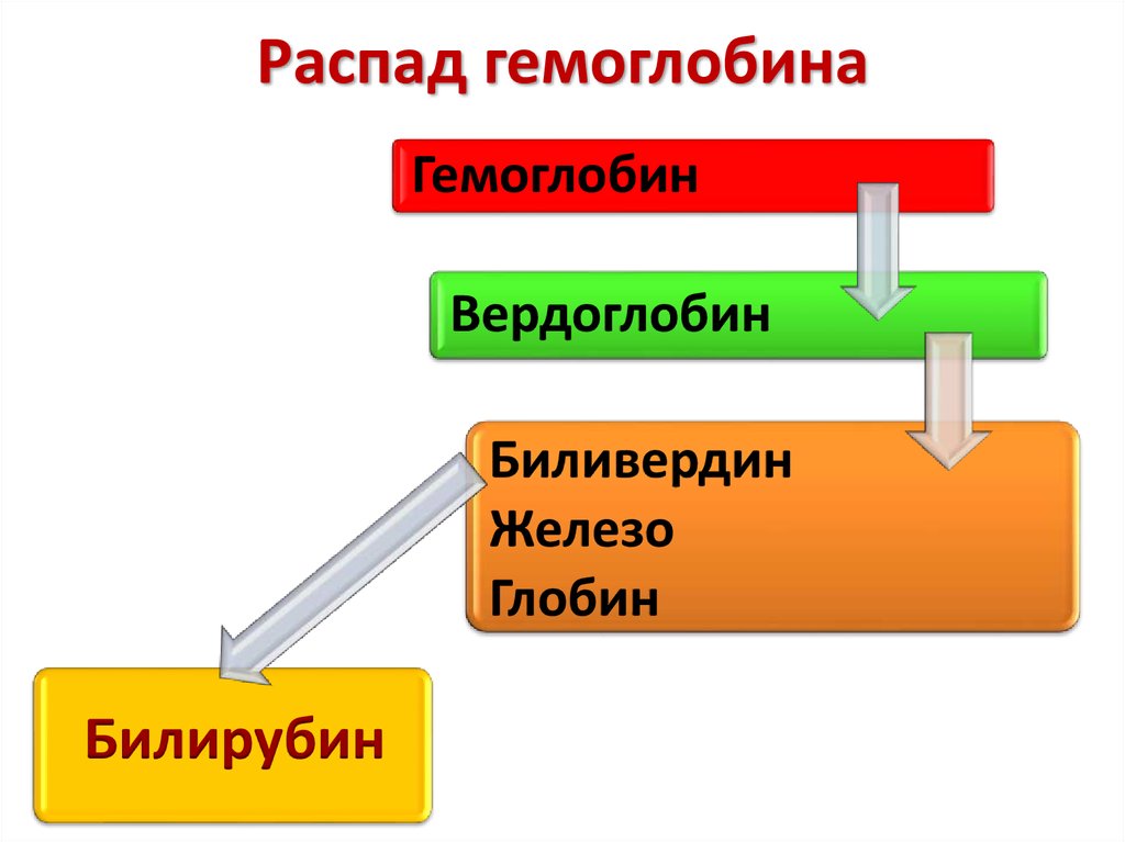 Схема распада гемоглобина