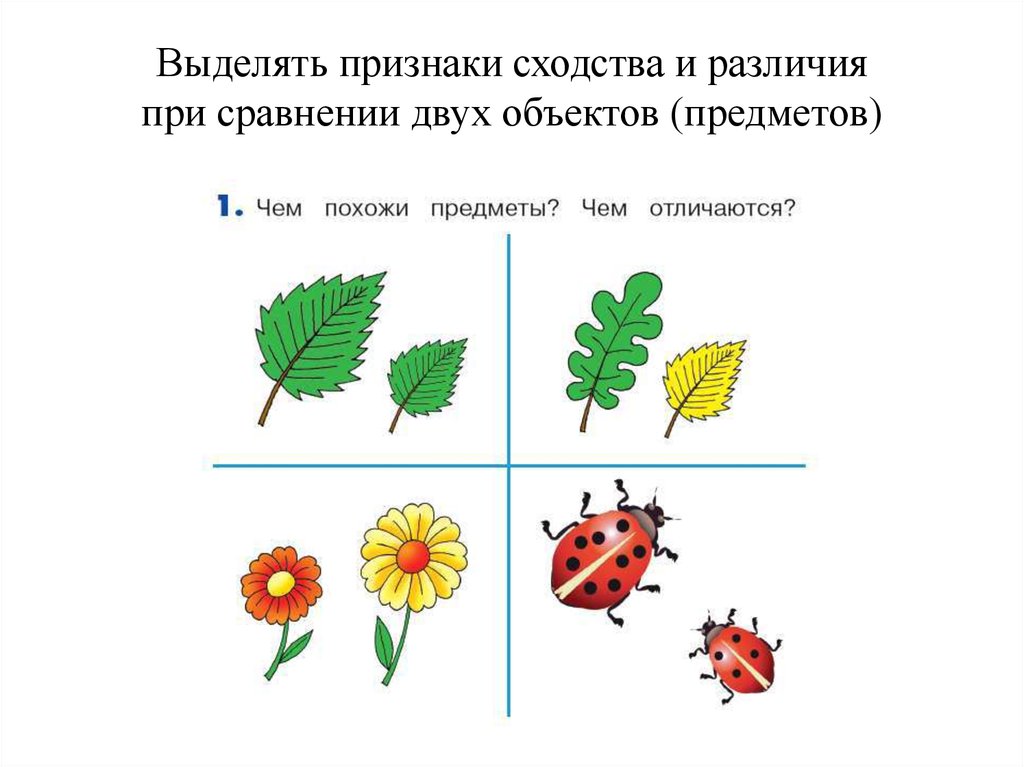 Правило и закономерности изображение предметов и объектов в пространстве