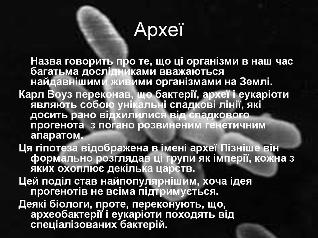 Яке значення мають. Археї це прокаріотичний. Археї це прокарітичний. НПО Архей. Хто відкрив Археї.