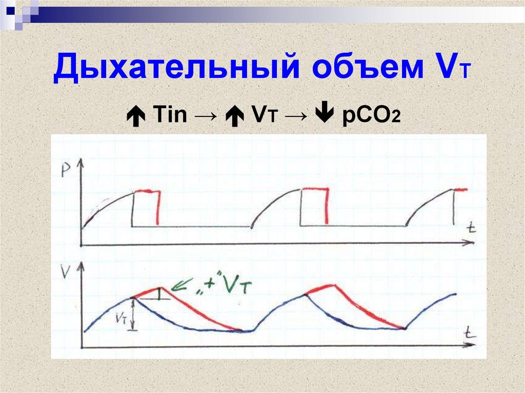 Дыхательный объем