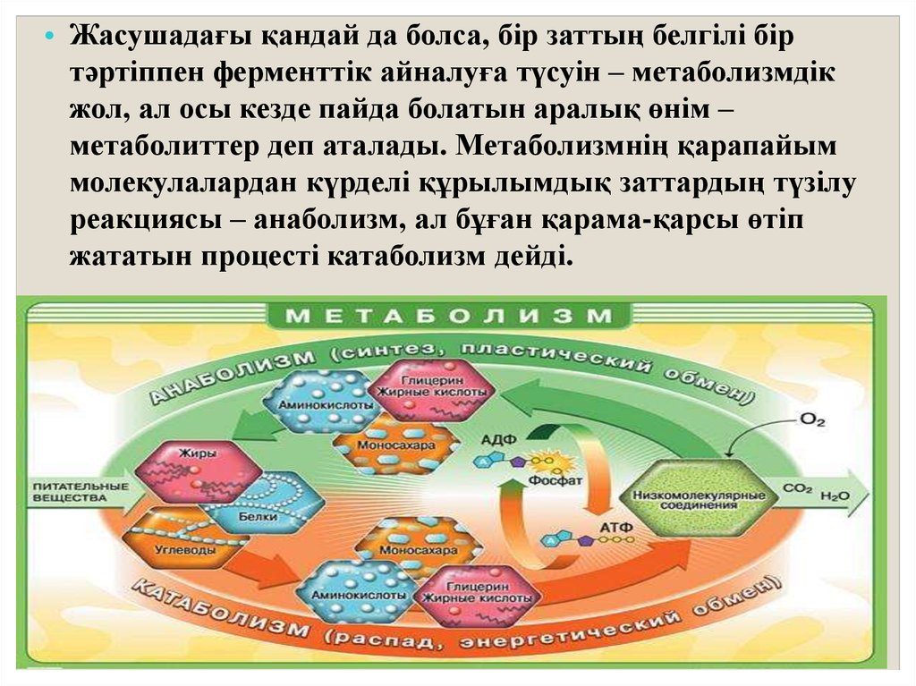 Масса алмасу процестері презентация