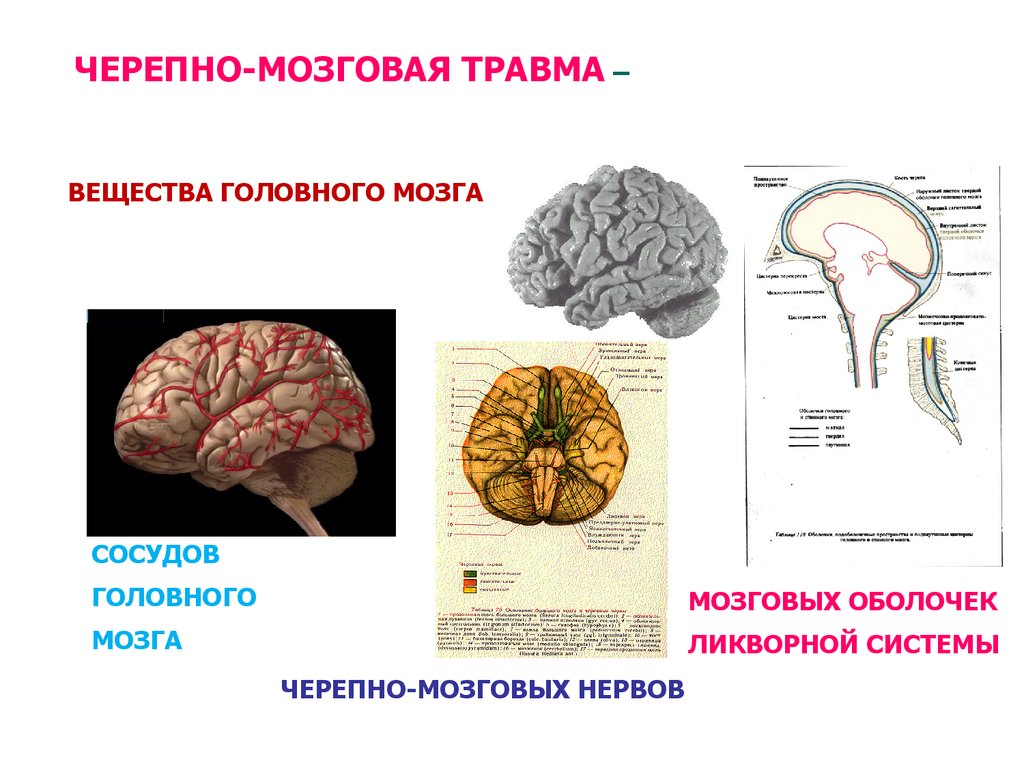 Атрофия вещества головного мозга. Черепно-мозговая травма оболочки мозга. Давление головного мозга. Черепно мозговое давление. Повреждение вещества головного мозга.