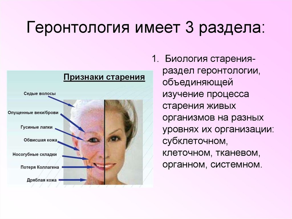 Геронтология. Геронтология старение. Геронтология презентация. Наука изучающая процессы старения.