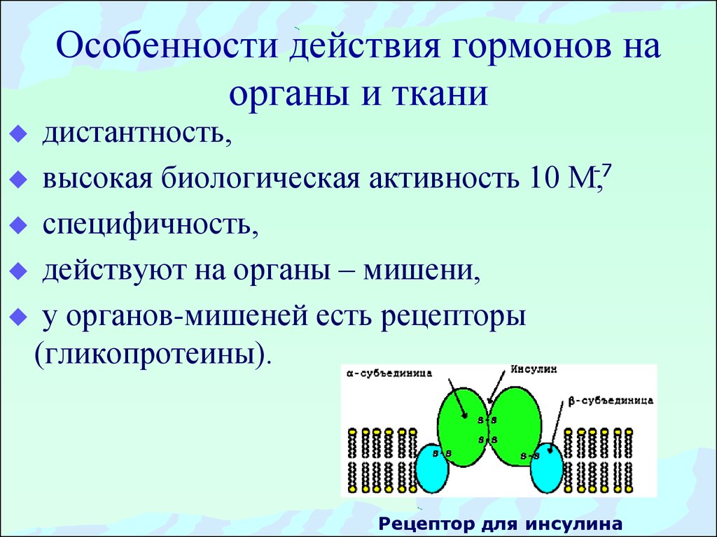 Специфическое действие гормонов заключается в том что