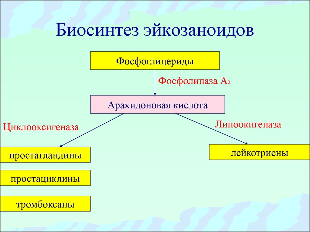 Эйкозаноиды биохимия презентация