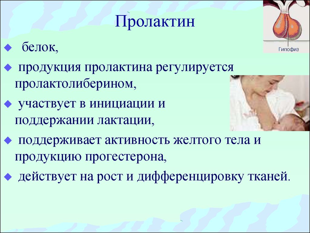 Пролактин связанный. Пролактин лютеотропный гормон. Пролактин гормон повышен у женщин. Пролактин воздействует на. Функции пролактина у женщин.