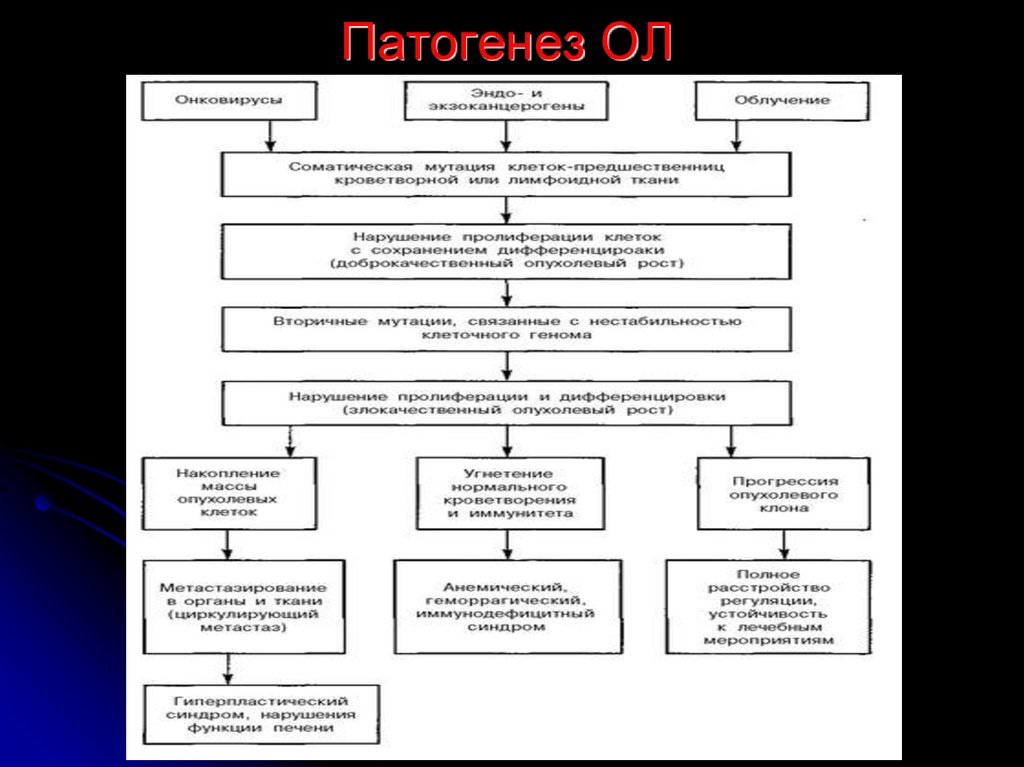 Лейкоз патофизиология презентация