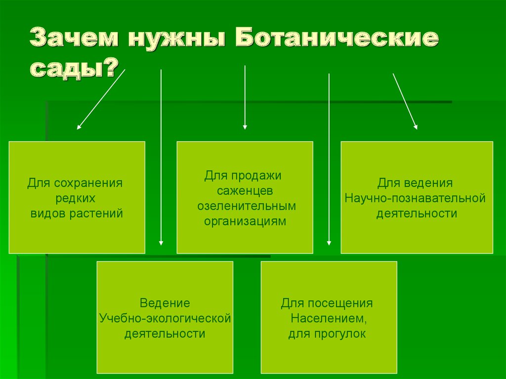 Зачем сад. Зачем нужна ботаника. Зачем научной организации нужен ботанических сад. Зачем нужны виды растений. 13 Стратегий сохранения редких видов растений.