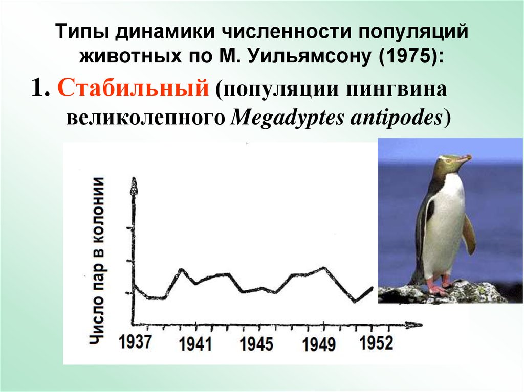 Типы динамики численности популяций животных по М. Уильямсону (1975):
