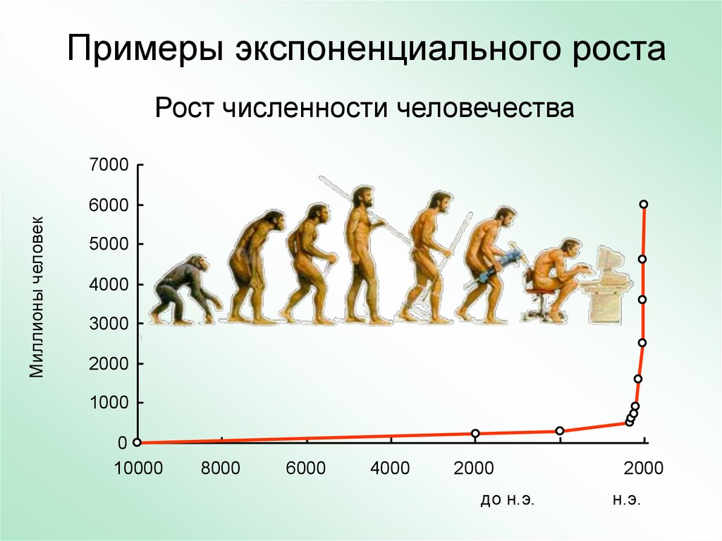 Рост пример людей. Численность человечества. Рост численности людей. Экспоненциальный рост пример. Экспоненциальный рост численности.