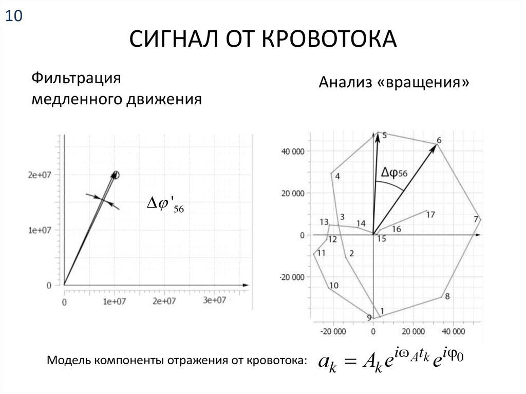 СИГНАЛ ОТ КРОВОТОКА