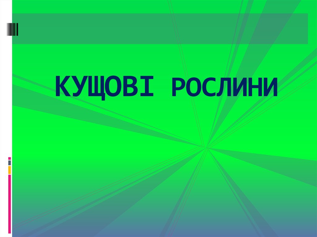 КУЩОВІ РОСЛИНИ