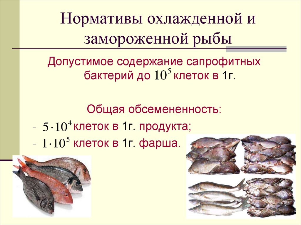 Оценка качества рыбы. Микрофлора рыбы и рыбных продуктов. Микробиология рыбы и рыбных товаров. Микробиологическое исследование рыбы и рыбной продукции. Микробиологические методы исследования качества рыбы.
