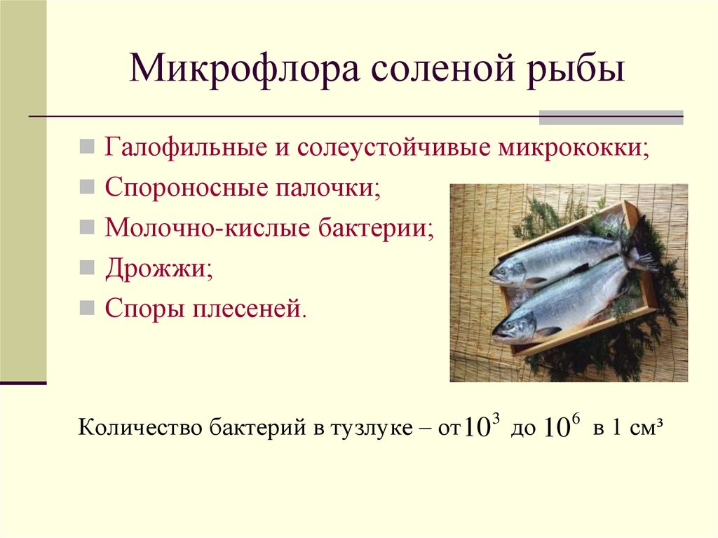 Формула соленой рыбы. Микрофлора рыбы и рыбных продуктов. Микробиология рыбы и морепродуктов. Микрофлора рыбы и рыбных продуктов кратко. Микробиология рыбы презентация.