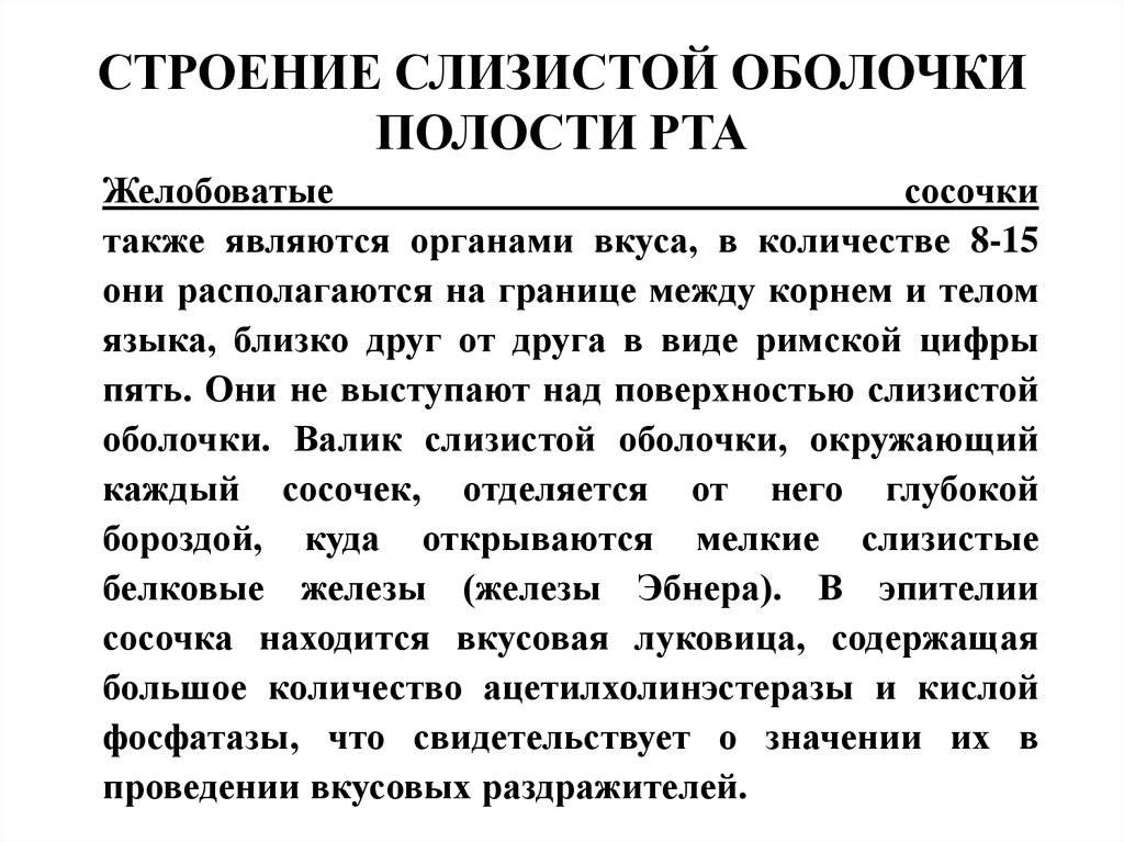 Проведение значения. Строение слизистой оболочки полости рта презентация. Особенности слизистой оболочки полости рта. Особенности строения слизистой оболочки полости рта. Желтушность слизистой оболочки полости рта.