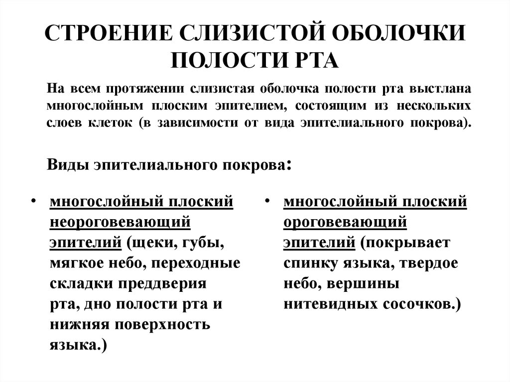 Оболочки рта. Строение слизистой оболочки ротовой полости. Строение и свойства слизистой оболочки полости рта классификация. Характеристика слизистой оболочки полости рта. Особенности строения слизистой ротовой полости.