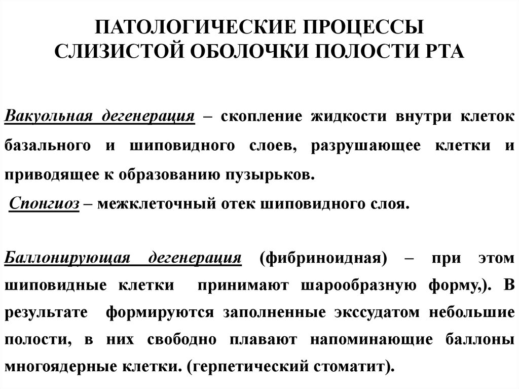 Функции слизистой оболочки полости рта