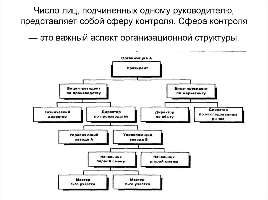 Сфера контроля. Число лиц подчиненных одному руководителю. Число лиц, подчиненных одному руководителю, представляют собой: *. Структура подчиненных. Структура лиц подчиненных одному руководителю представляет собой.