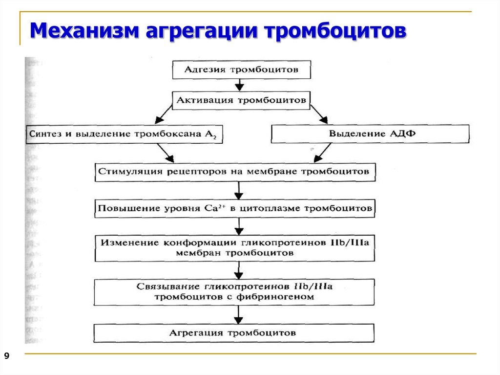 Схема агрегации тромбоцитов