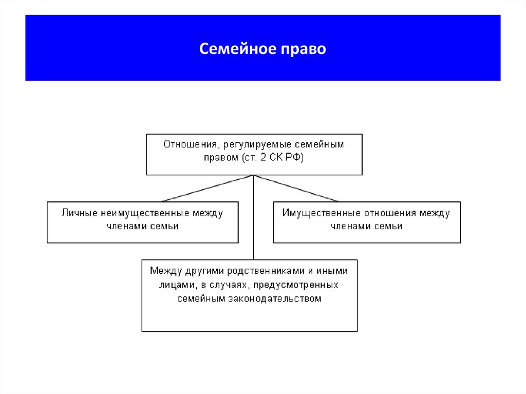 Гражданское и семейное право 7 класс