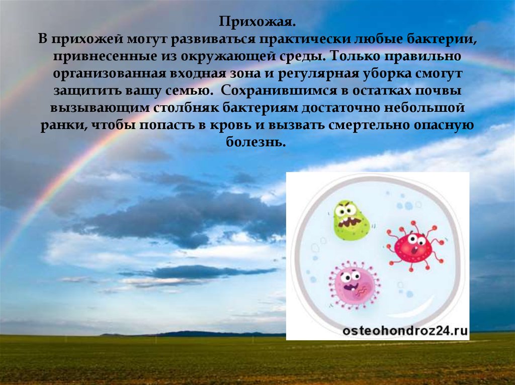 Воздушная среда. Воздушная среда доклад. Благоприятная воздушная среда. Бактерии в воздушной среде.