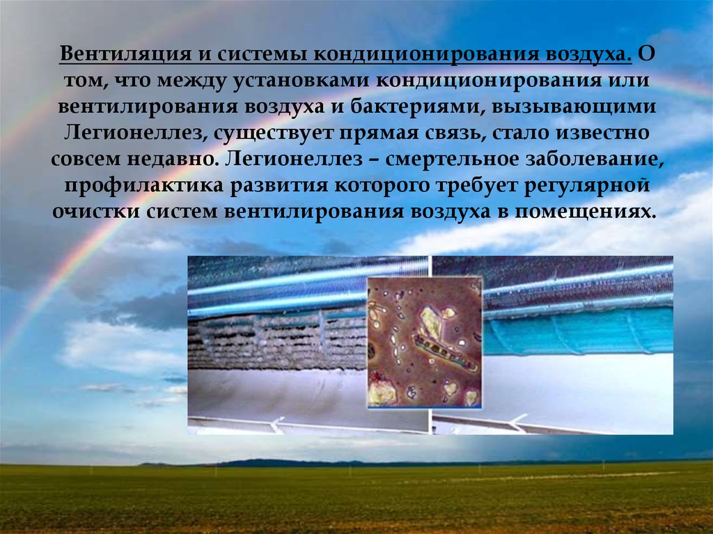 Что достаточно в воздушной среде. Воздушная среда. Появление углерода в воздушной среде. Фактора воздушной среды для детей картинки.