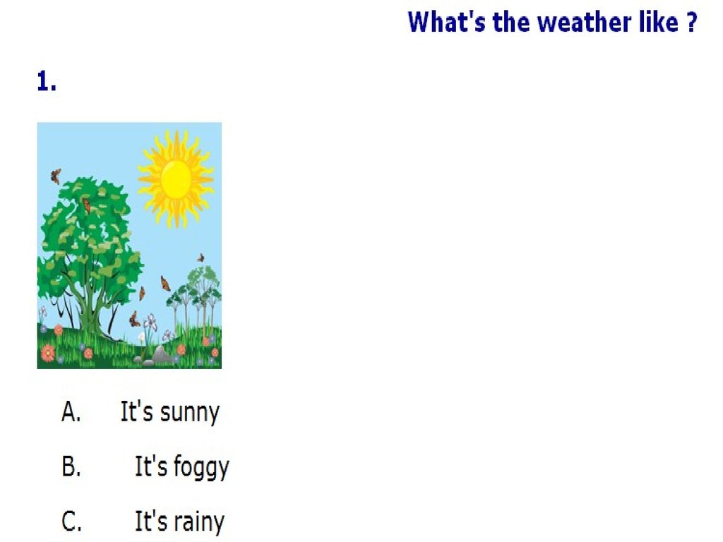 Whats the weather like