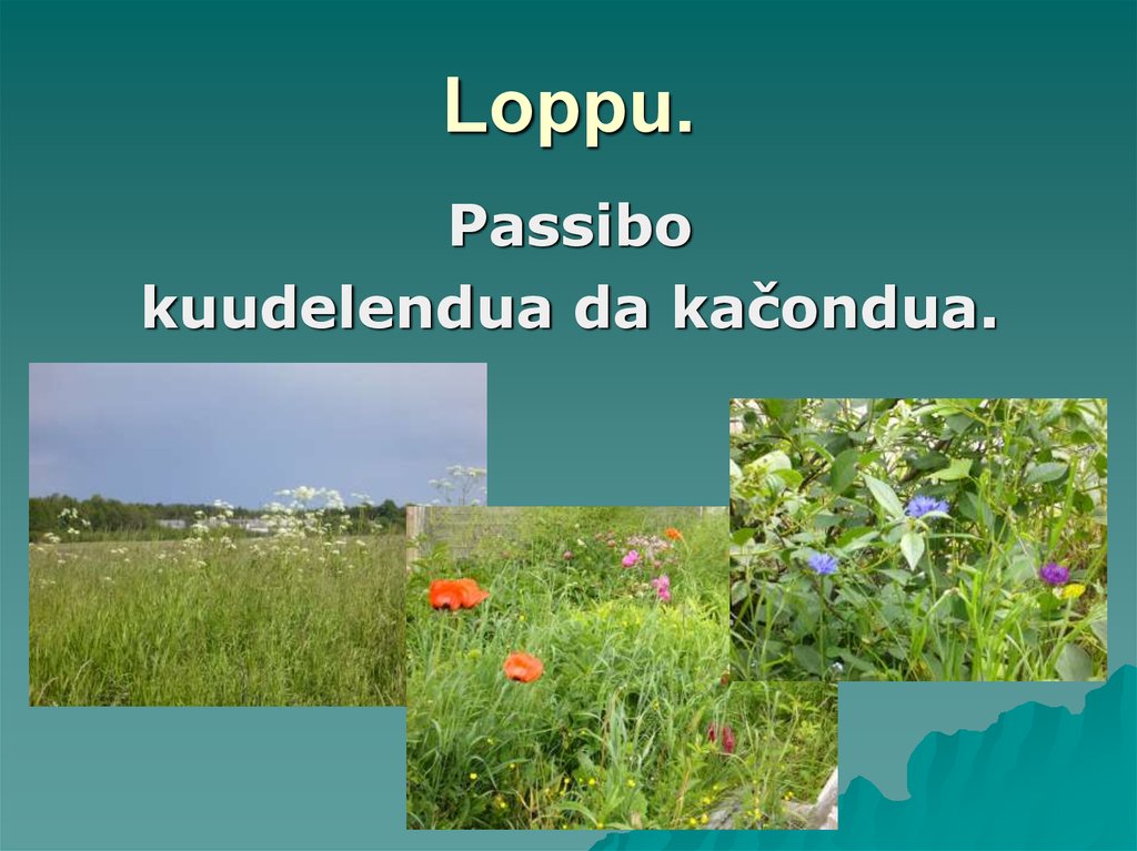 Loppu.