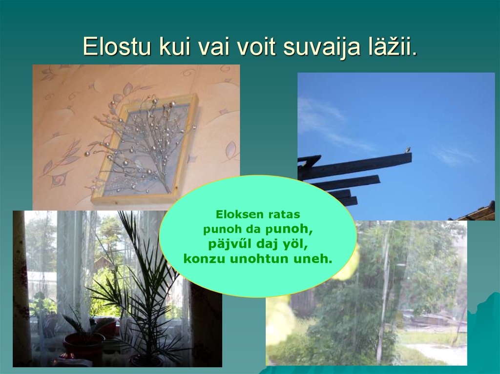 Elostu kui vai voit suvaija läžii.