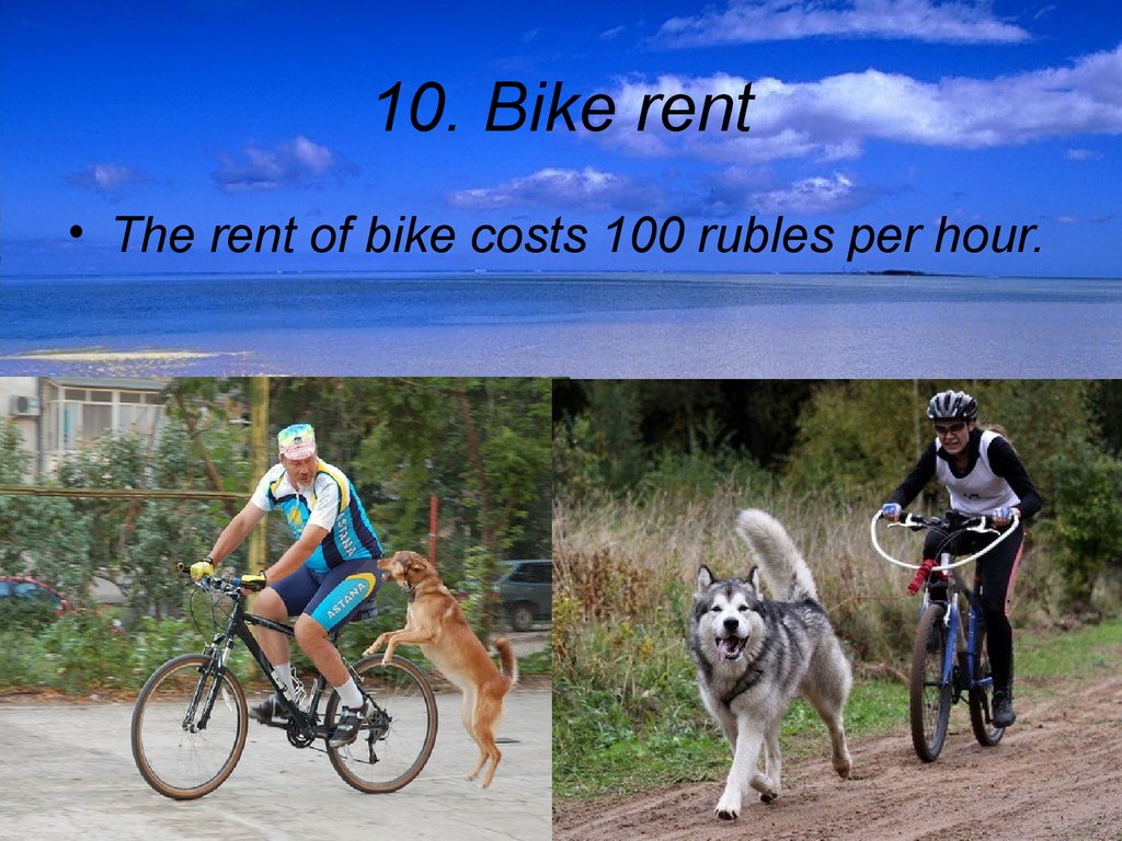 Rent a bike