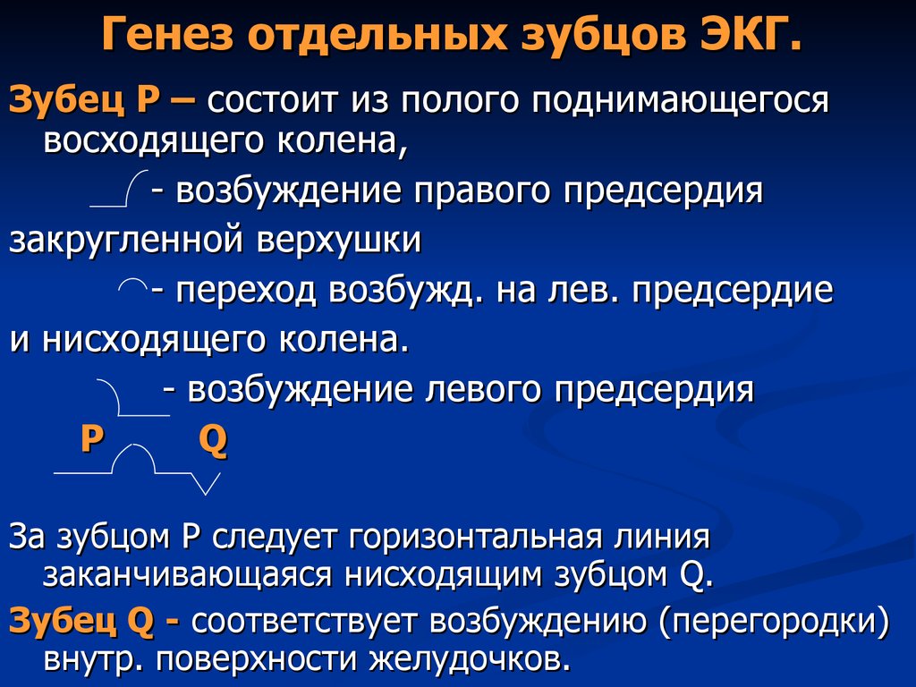 Понятие об экг презентация