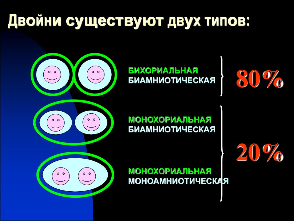 Монохориальная двойня. Типы плацентации при многоплодной беременности. Бихориальная, биамниотическая, монохориальная, моноамниотическая. Монохориальная моноамниотическая двойня. УЗИ монохориальной моноамниотической двойни.