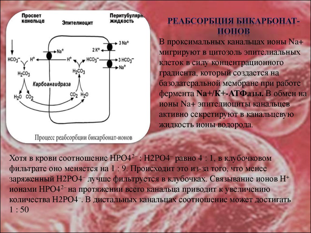 Пример кислотно основного взаимодействия