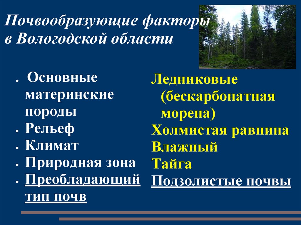 Презентация на тему вологодская область