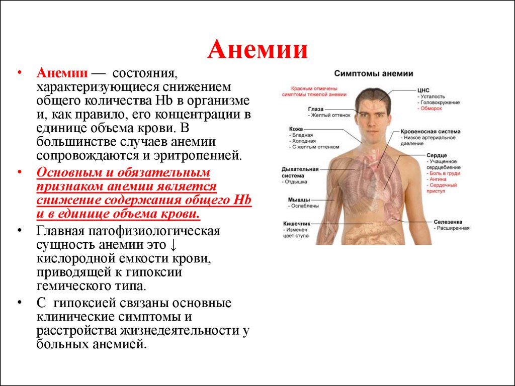 Болезни у взрослых причины. Симптомы болезни малокровие. Заболевания при анемии.