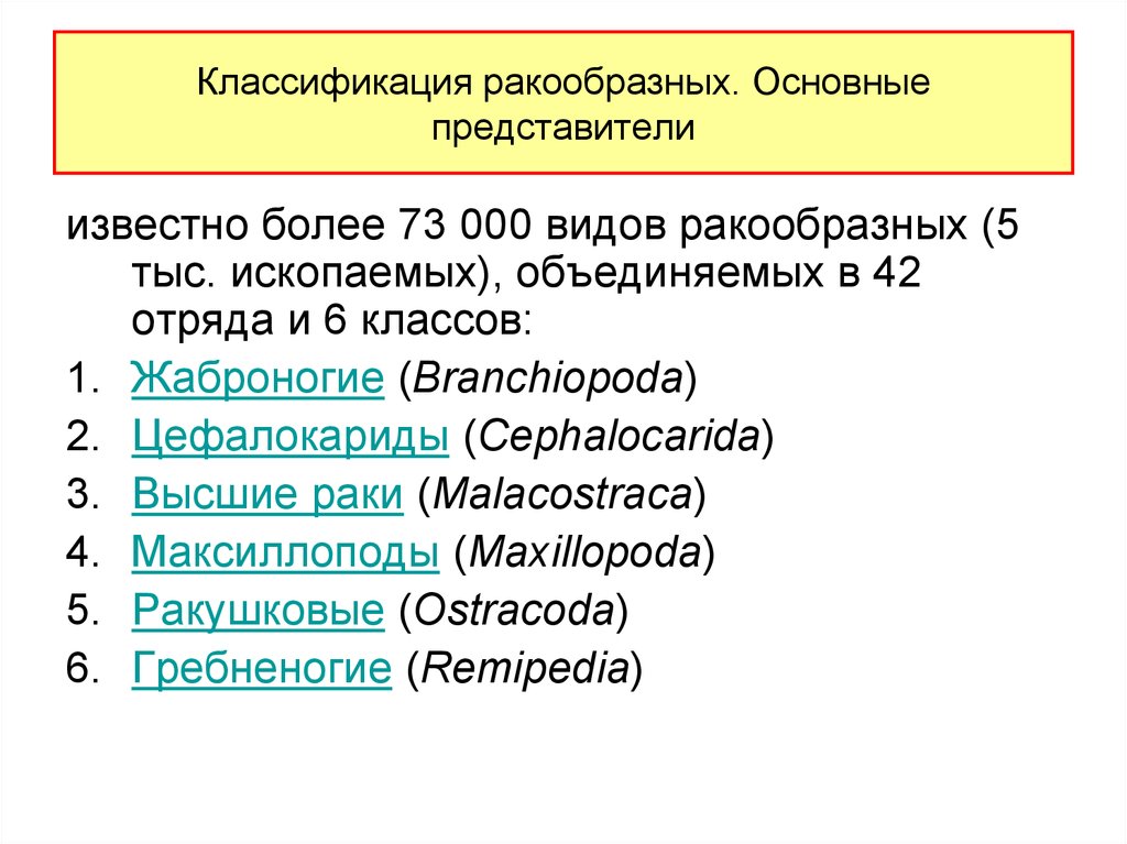 Классификация представителей. Систематика жабронога. Жаброногие классификация. Максиллоподы систематика. Классификация цефалокарид.