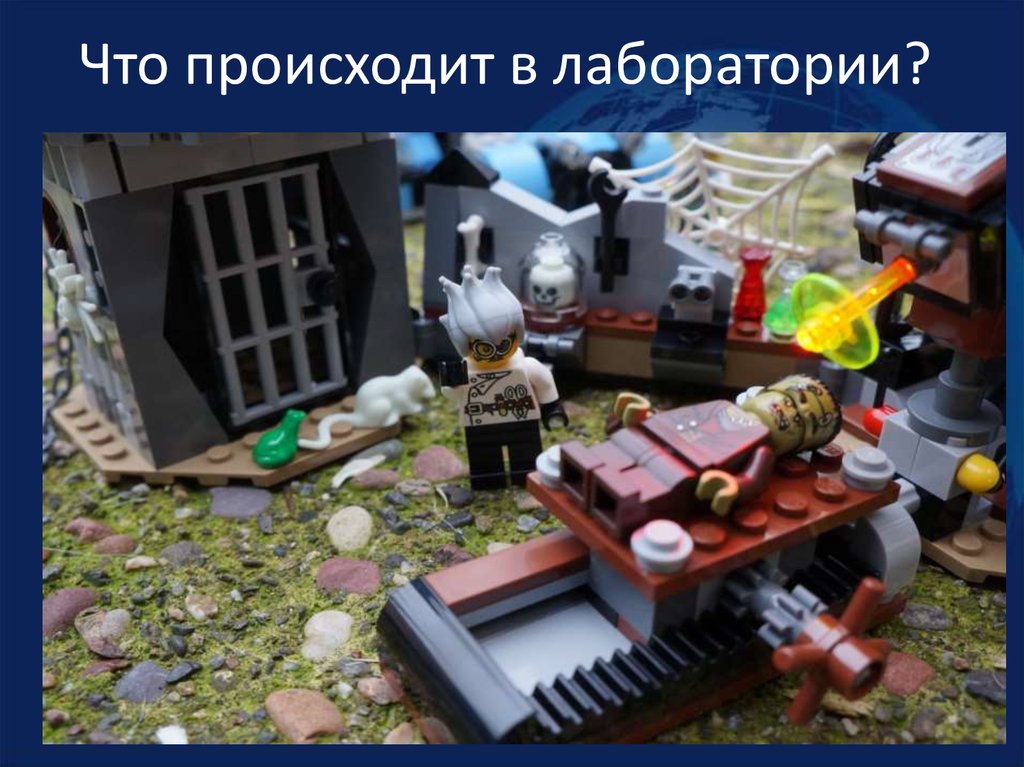 Что происходит в лаборатории?