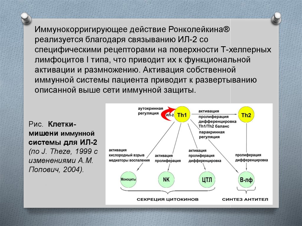 Интерлейкин 2