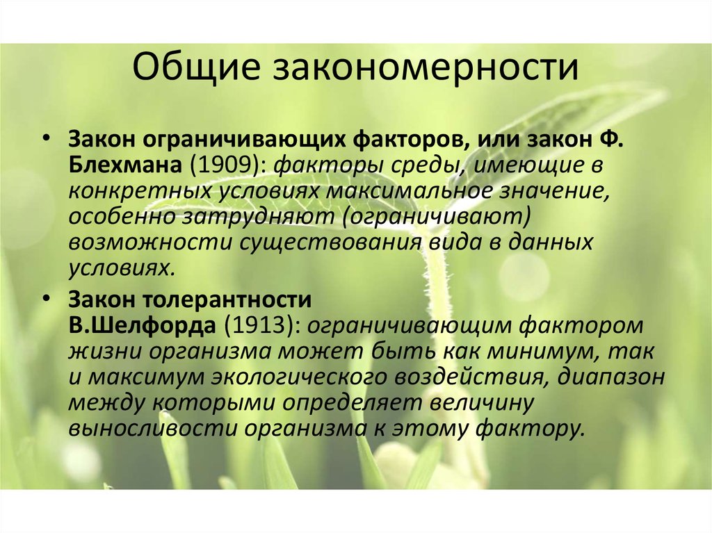 Жизненные закономерности. Закономерности жизни. Основные закономерности существования живого. Экологические закономерности. Основные природные закономерности.