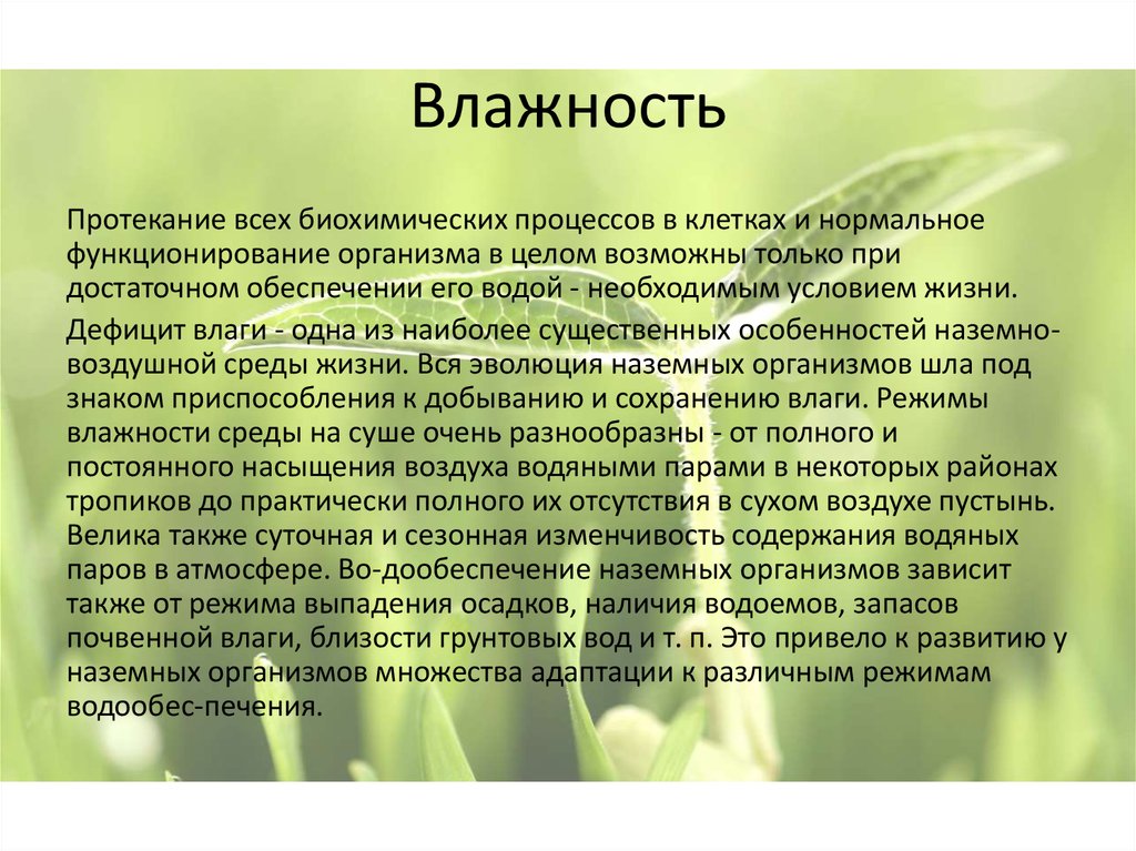 Влияние влажности. Воздействие влажности на живые организмы. Влияние влажности на организм животных. Влияние влажности воздуха на живые организмы. Влияние влажности воздуха на живые организмы сообщение.