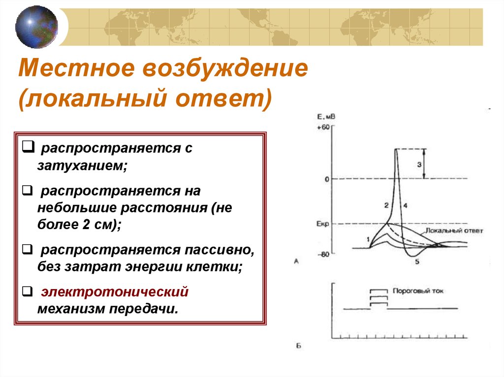 Характеристика возбуждения