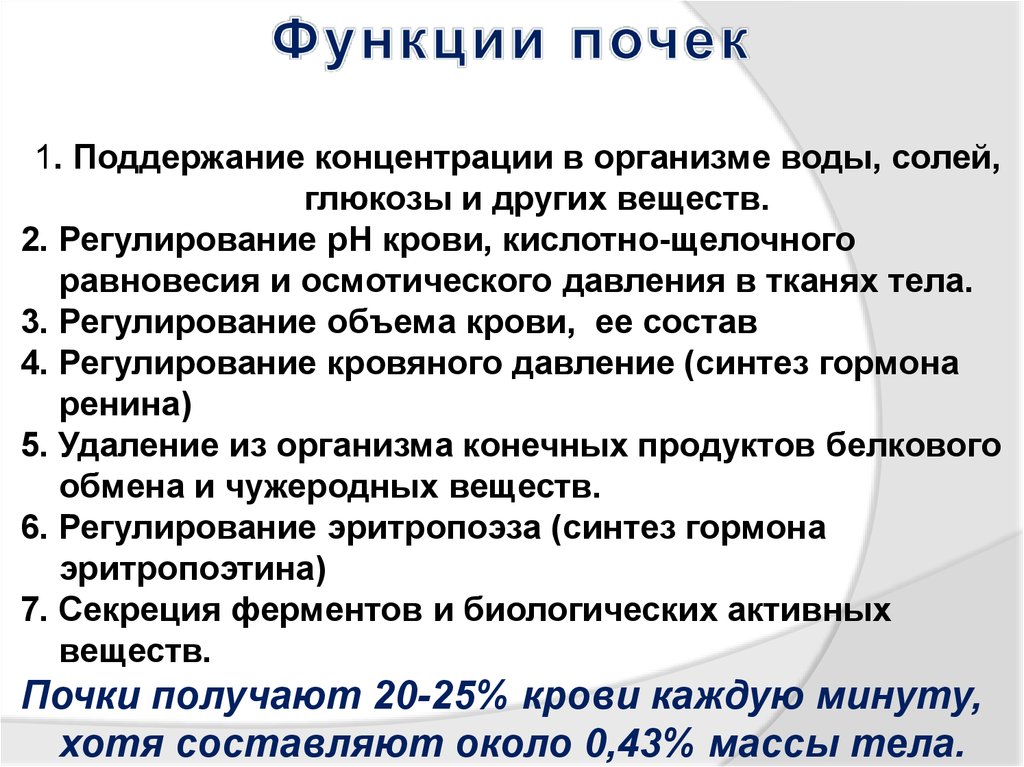 Поддержание. Роль почки в поддержании кислотно-щелочного равновесия. Участие почек в поддержании осмотического давления крови. Регулирование функции почек. Поддержание концентрации веществ в крови.