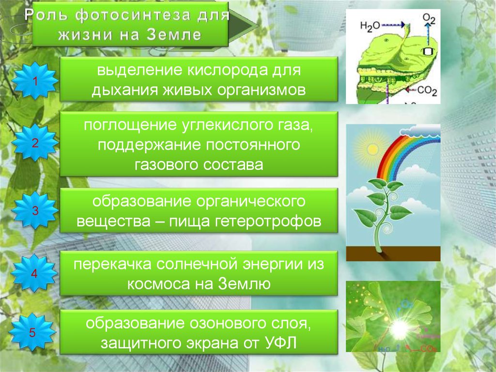 Значение фотосинтеза в природе биология 6 класс. Роль фотосинтеза для живых организмов. Значение фотосинтеза в природе. Роль фотосинтеза для растений. Роль фотосинтеза в жизни.